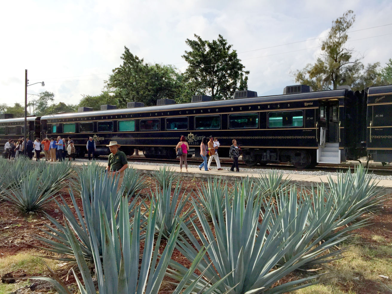 The Jose Cuervo Express, Tequila Mexico