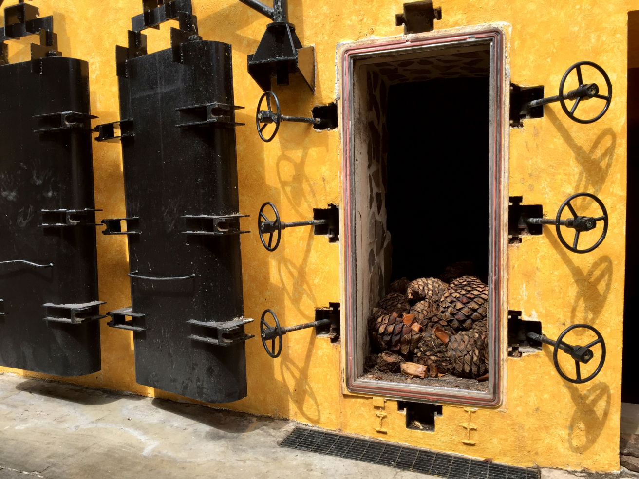 Pinas getting ready for processing at La Rojeña