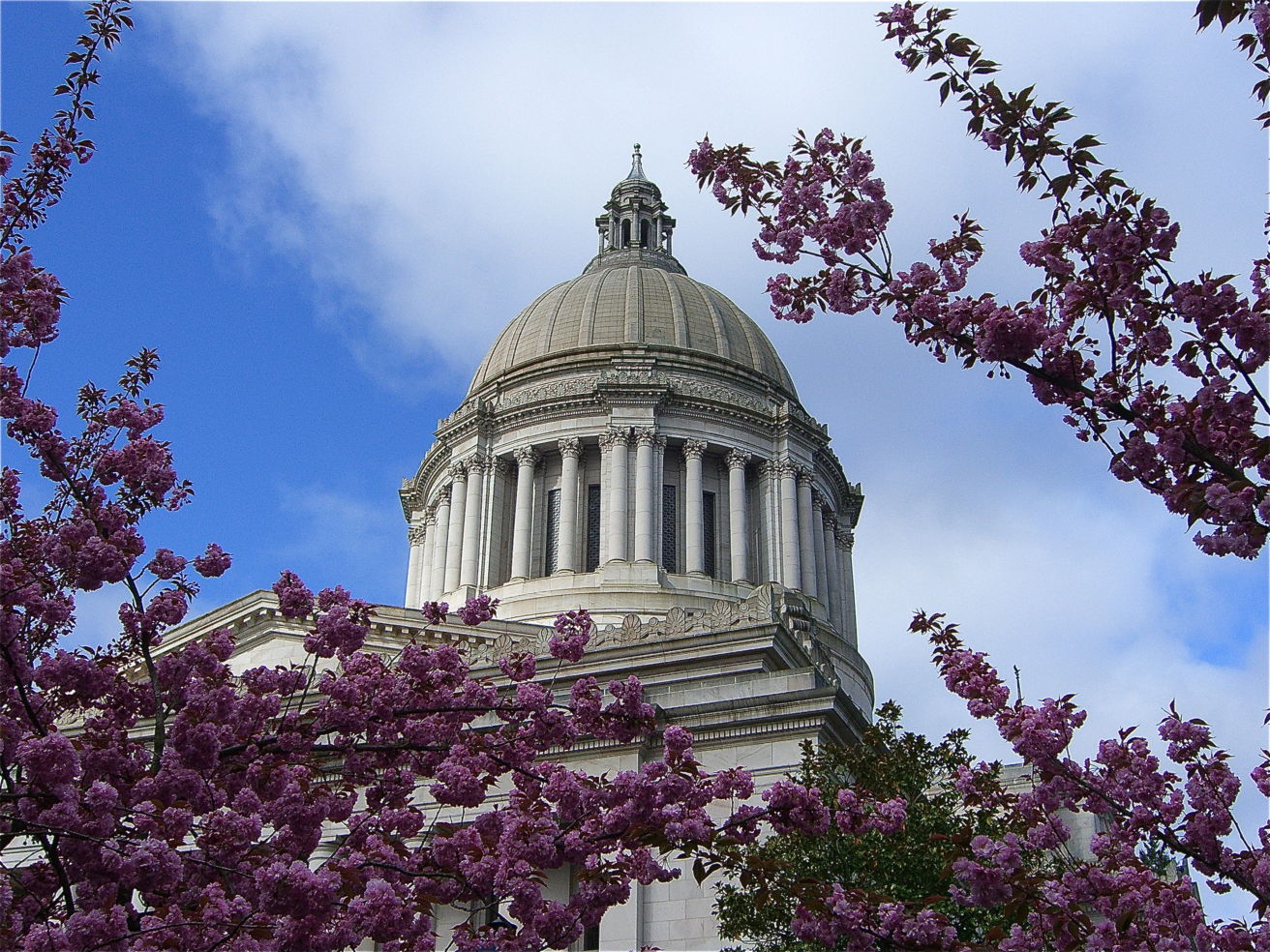 Olympia Washington