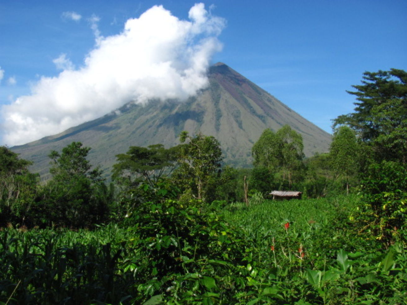The rural villages of Flores, Indonesia