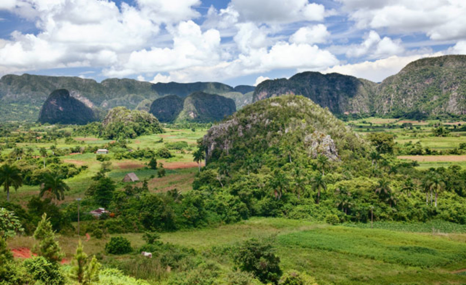 Vinales