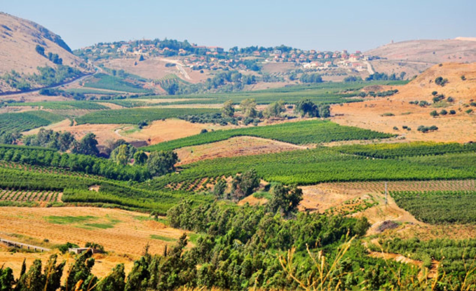 Golan