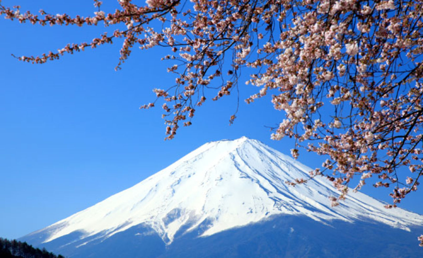 Mount Fuji