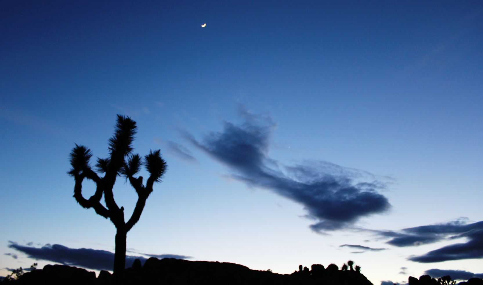 Joshua Tree National Park near Palm Springs in California