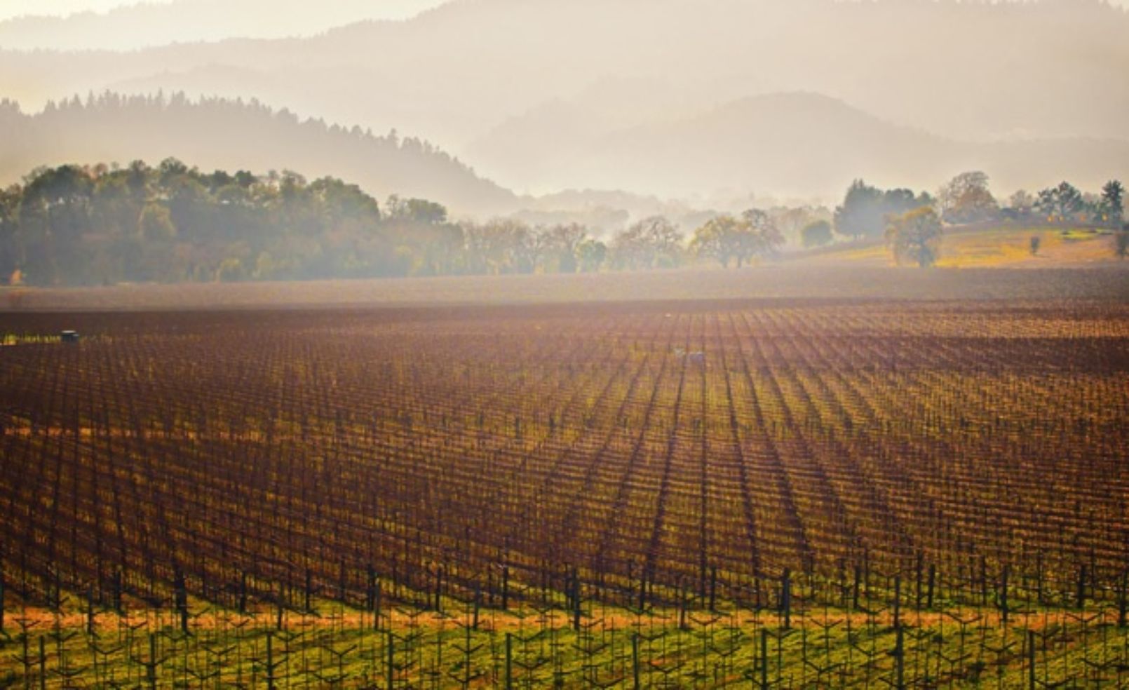 Napa Valley