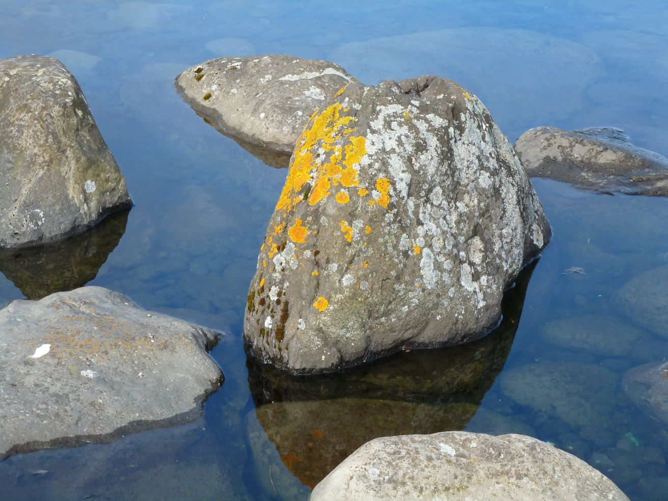 Volcanic rocks in Iceland