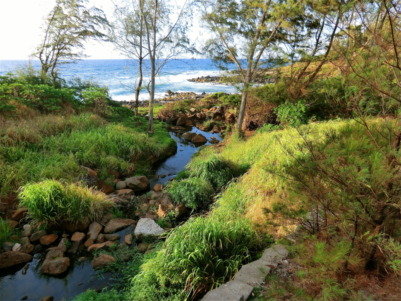 Walking along the beach in Kauai, Hawaii