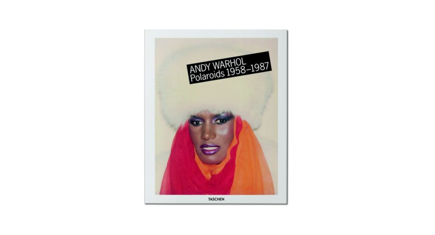 Andy Warhol book