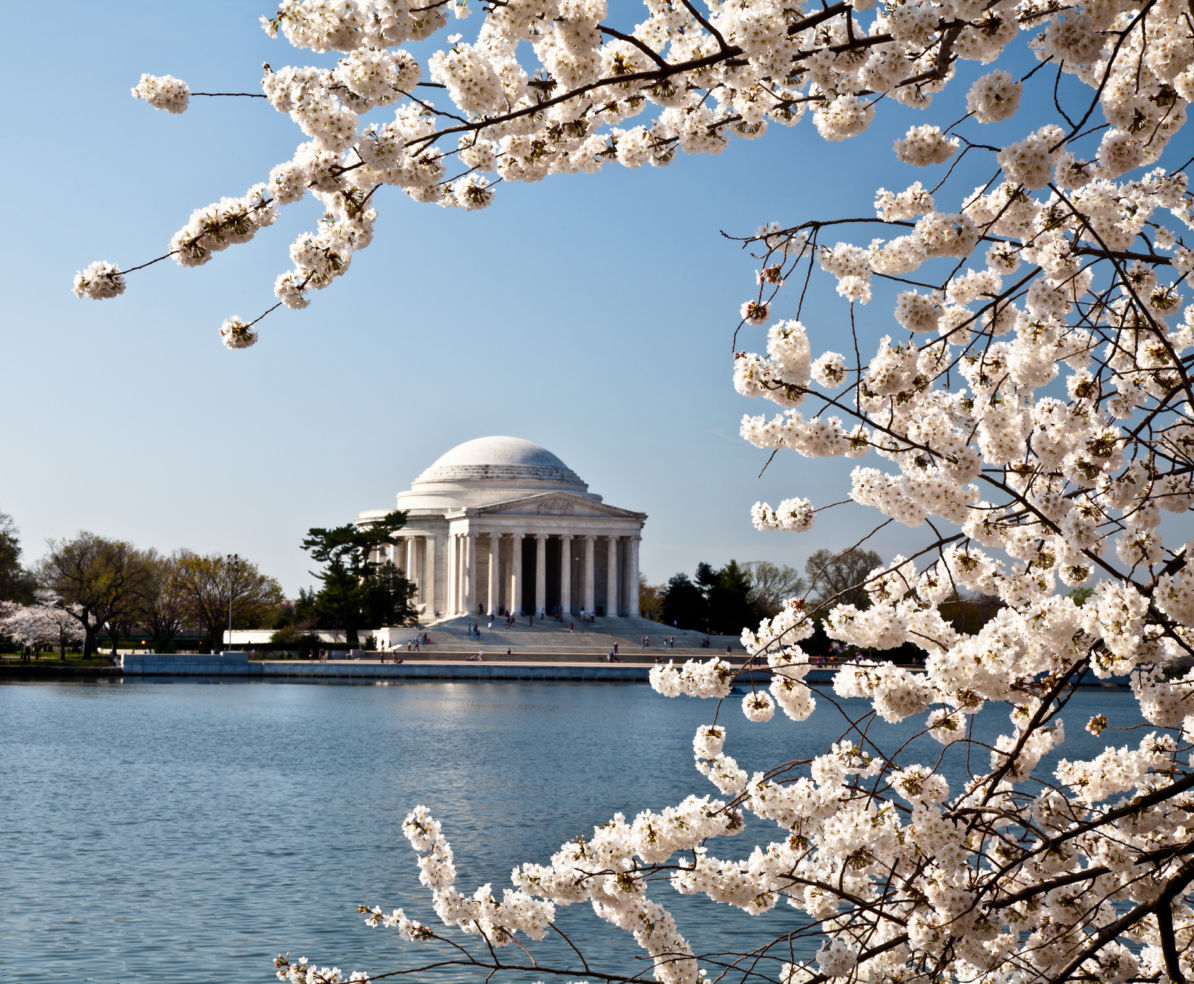 Washington D.C.