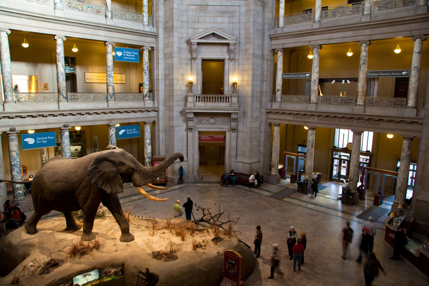 The National Museum of Natural History in Washington, D.C., United States.