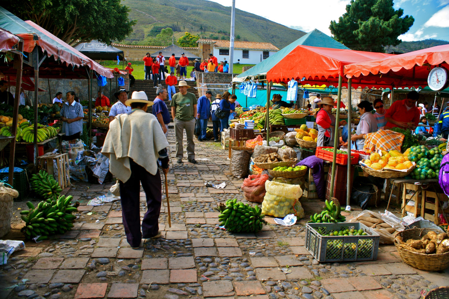 La Colombie meurtrie et affamée Wheretogo2015colombiamarket-12102014-132429_original