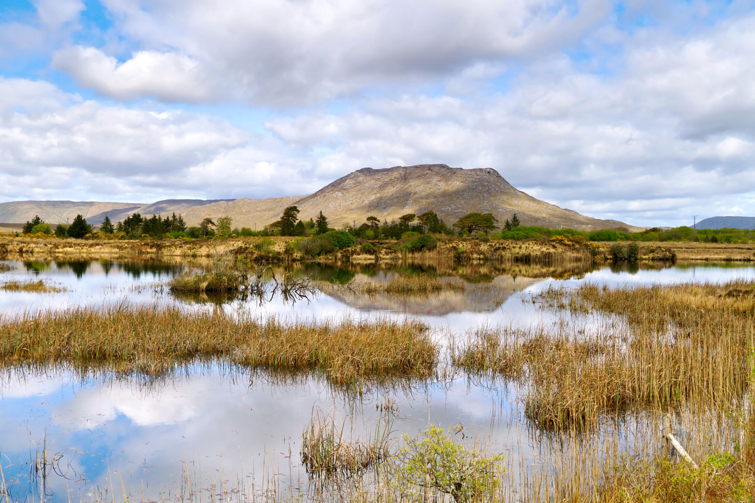 Ireland