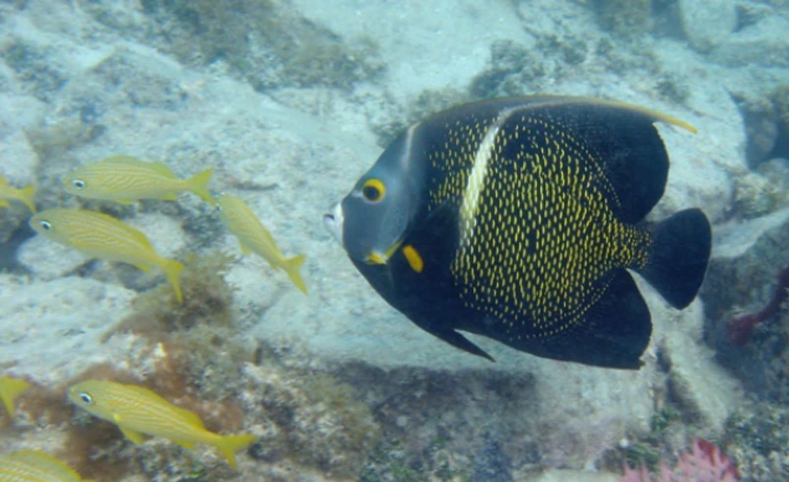 Virgin Islands NP
