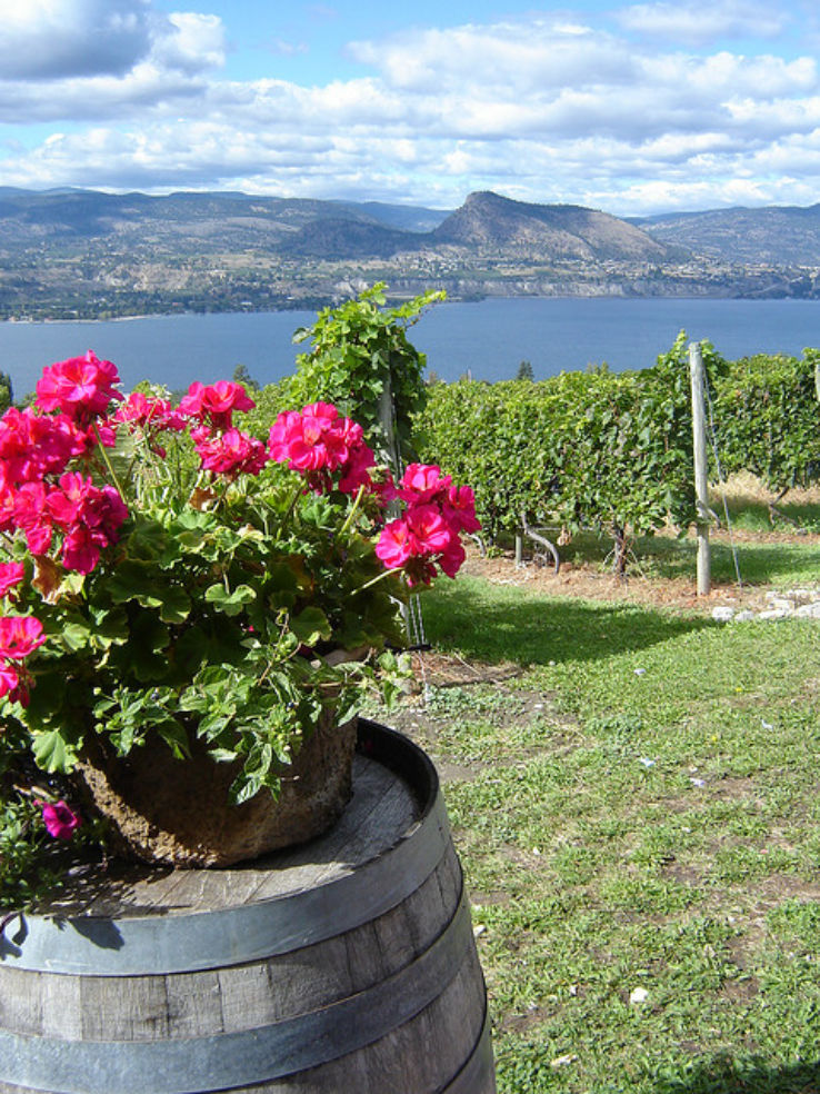 Winery in the Okanagan Valley, British Columbia, Canada