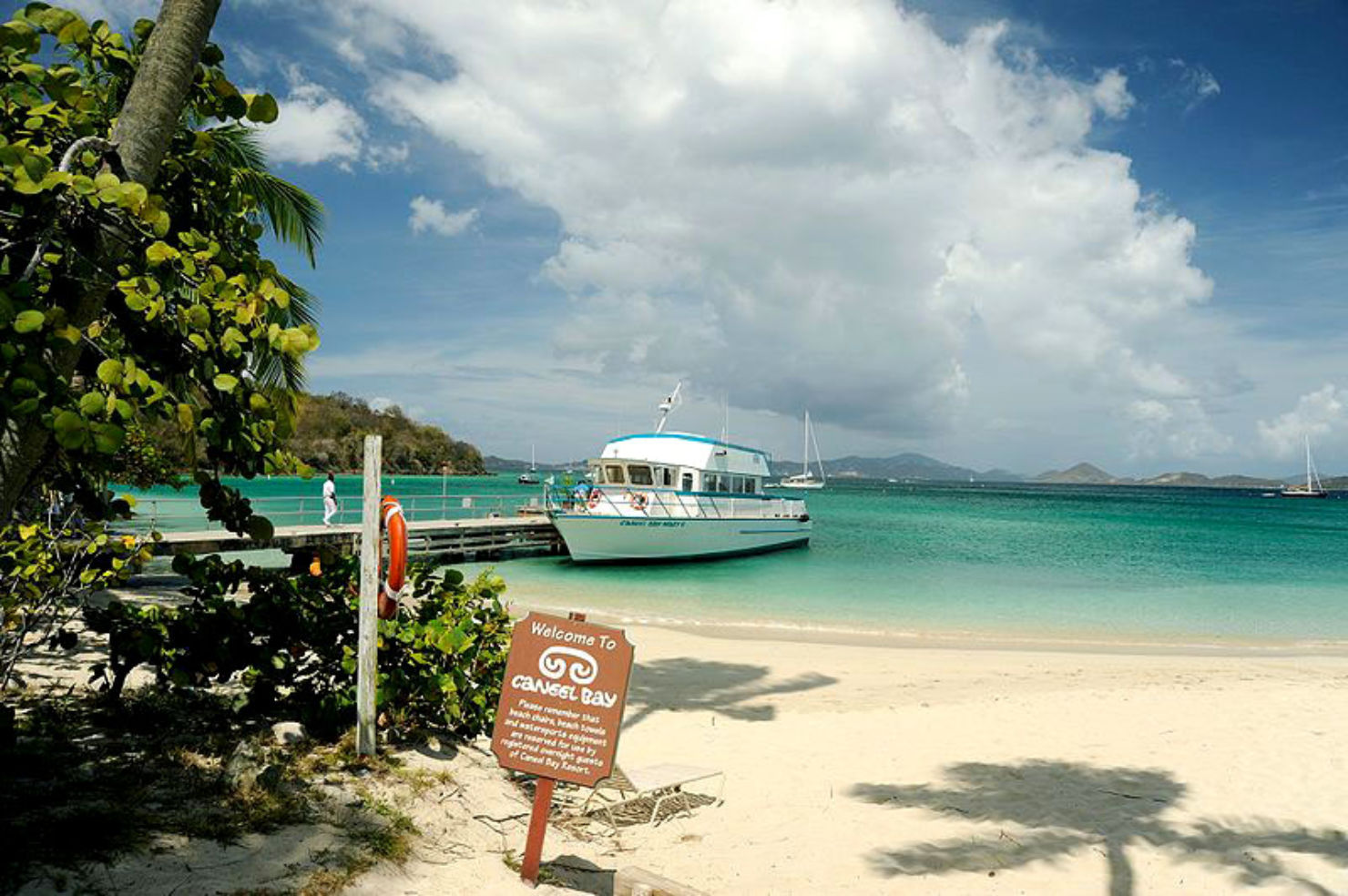 St. Johns