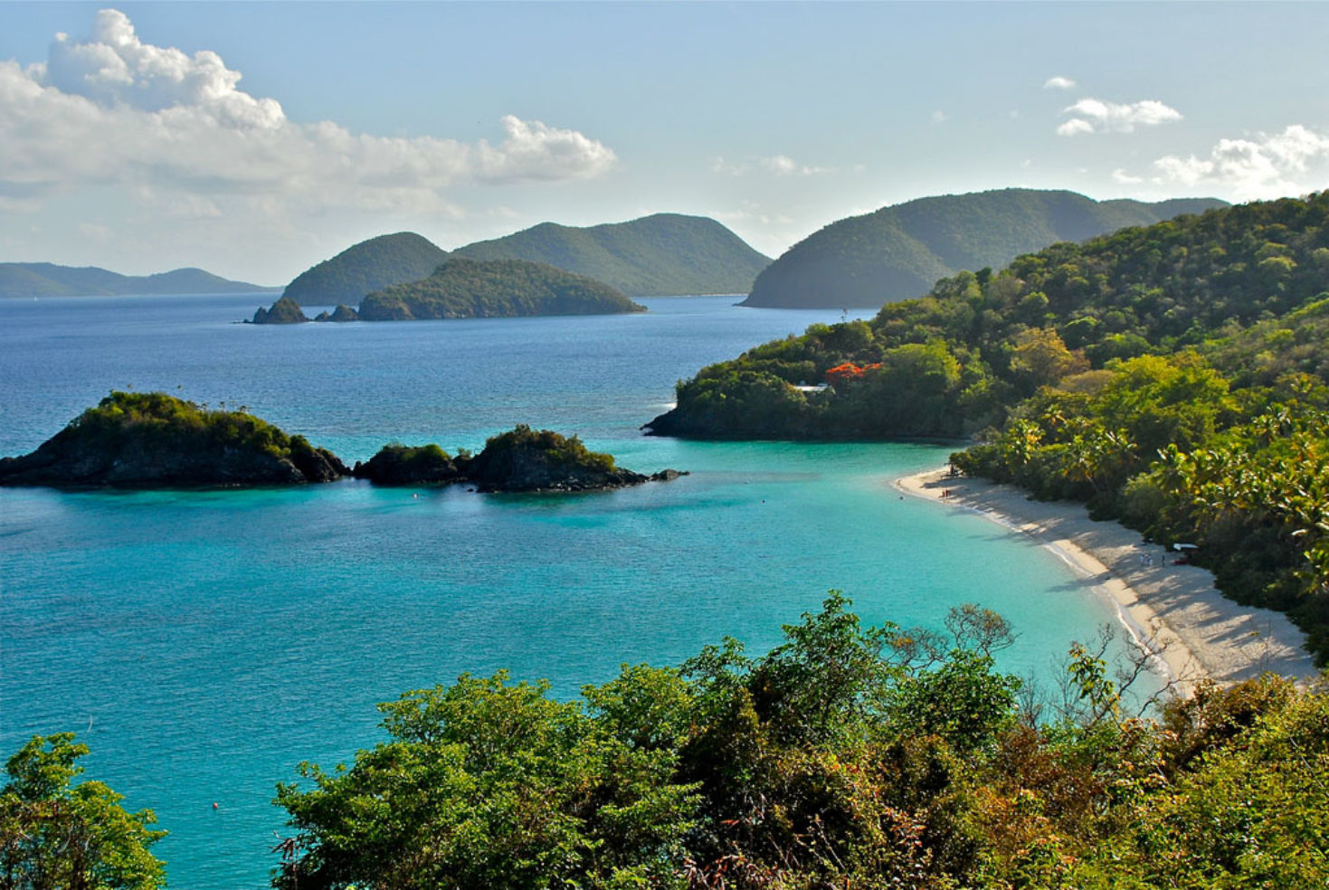 St. Johns