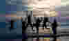 FamilyReunion_Jumping_Beach.jpg