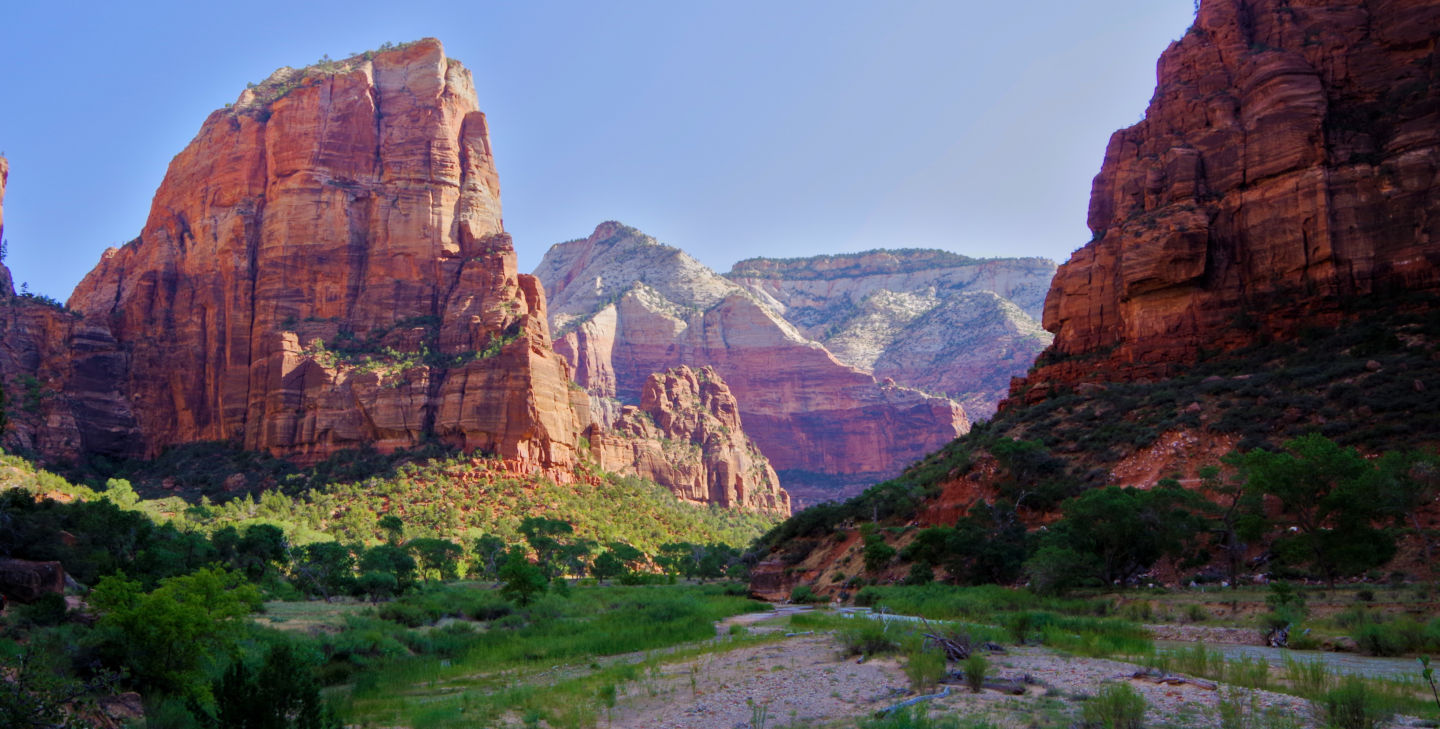 A Panoramic View of Zion National Park