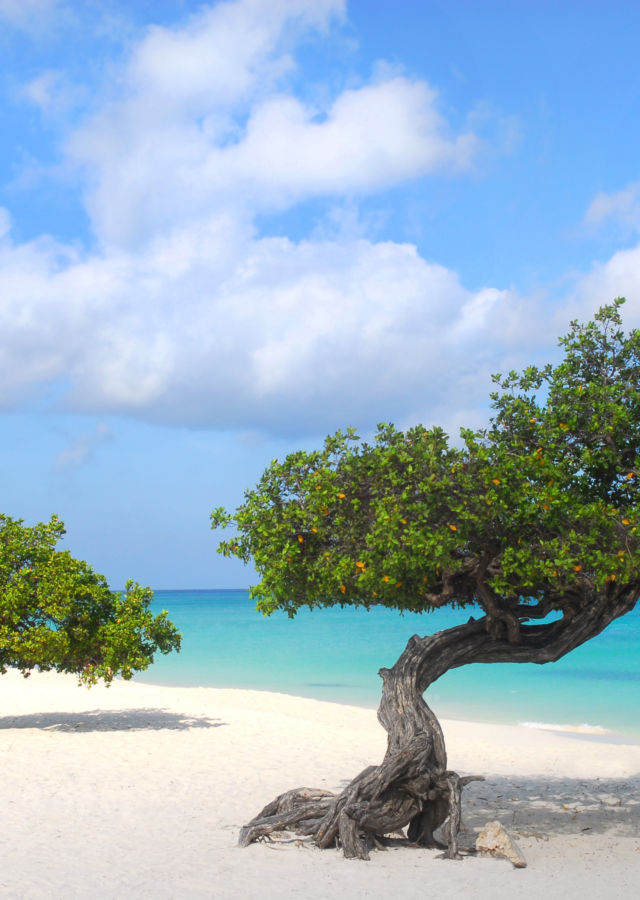 Jump on These Black Friday & Cyber Monday Travel Sales | Budget Travel