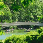 05 Central Park Usa Ph Jean Carlo Emer
