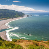 Shutterstock Rf 1136107673