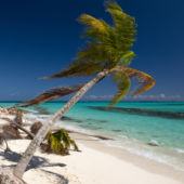 Shutterstock Rf 291961145