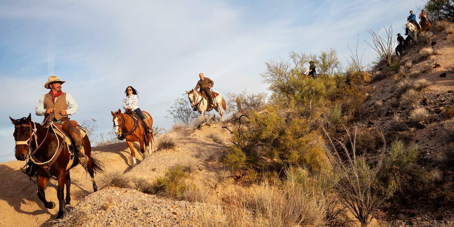 Tzoo 125886 0 1212610 Kay El Bar Ranch Riding cp