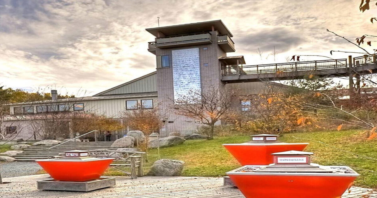 Budget Travel Woodstock, Vermont Coolest Small Town 2023