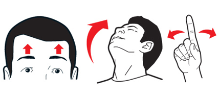 blog_1005_bodylanguage_pano_original.gif