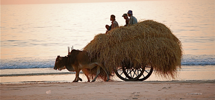 blog_croppedmyanmar_original.jpg