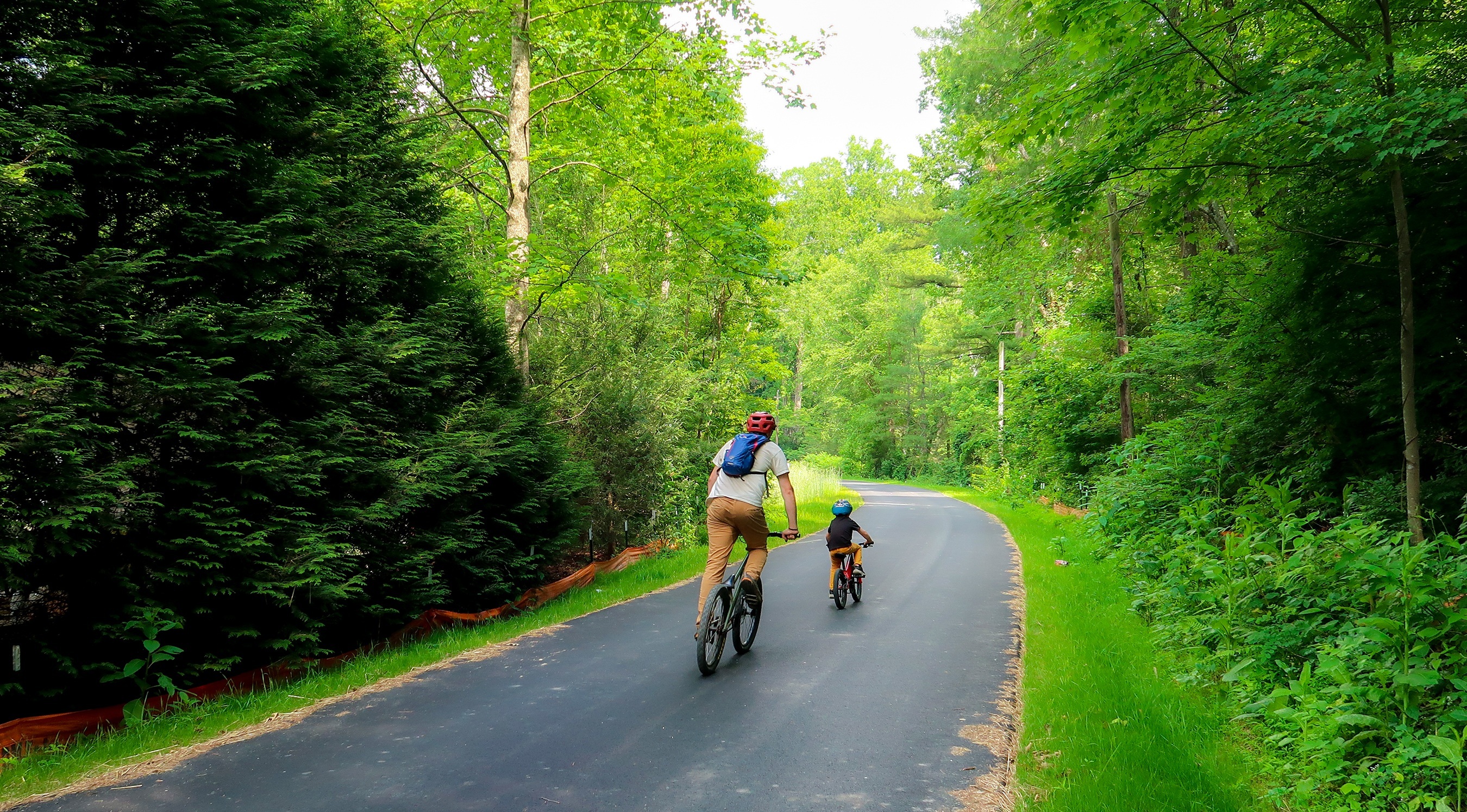 مسیر اکوستا تریل در میان منظره‌ای سرسبز