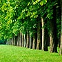 redesign_ecotourism