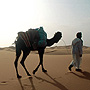 0703_dt_sahara