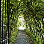 0805_garden