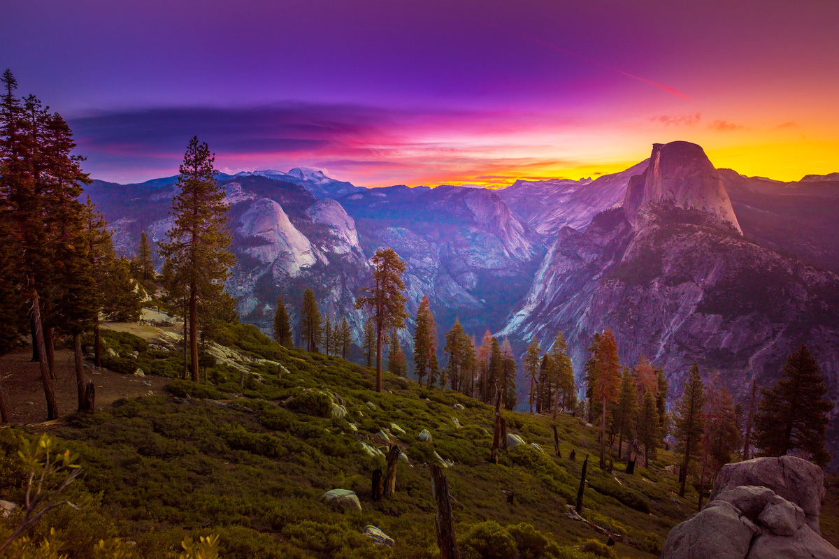 Shutterstock Rf 477545791