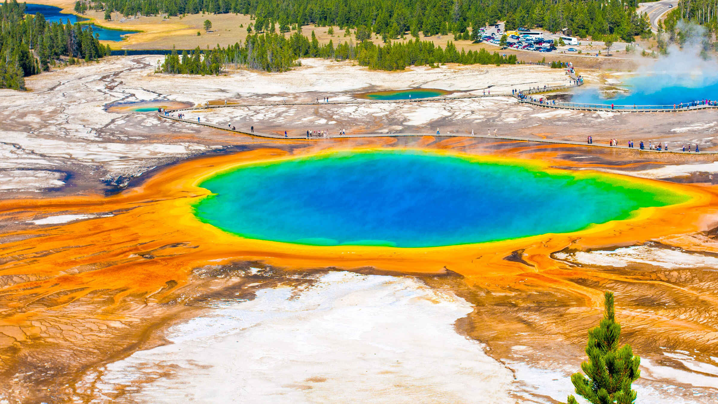 Yellowstone