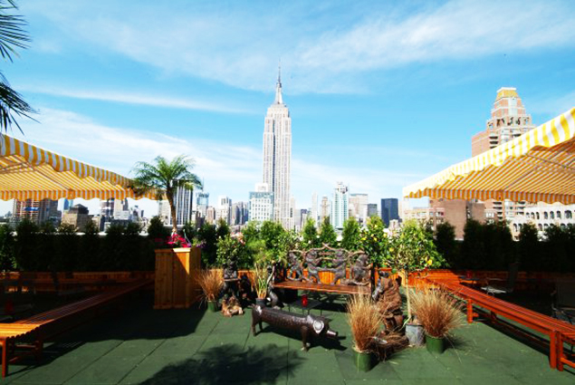 The view from brunch at 230 Fifth in New York City.
